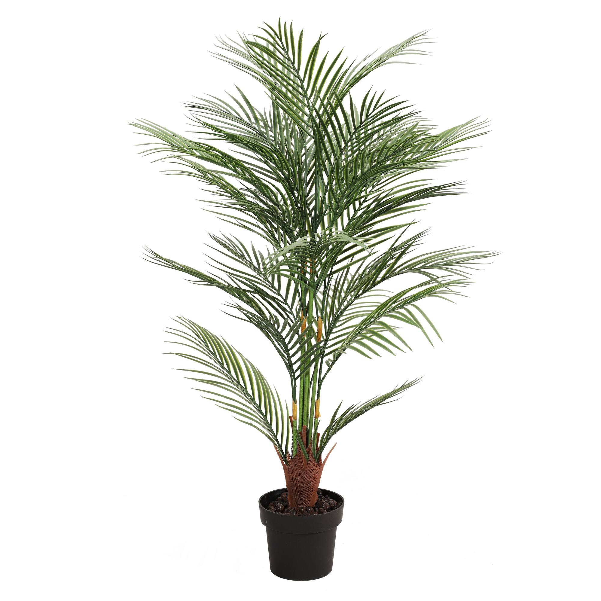 6 Pack: 4ft. Potted Areca Palm Tree